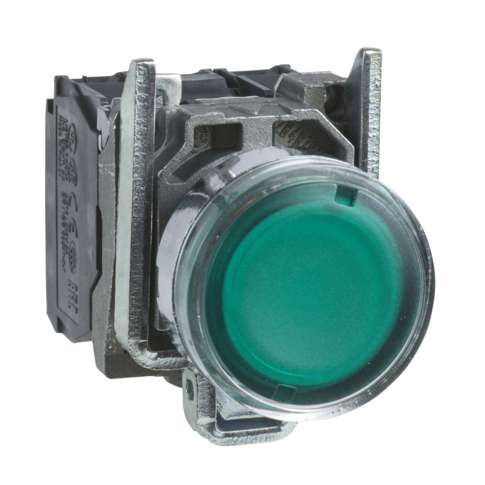 Ill PB metal green flush 250V