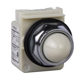 120V 30MM WHITE LED PILOT LIGHT T-K